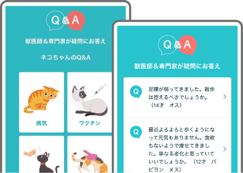獣医師・専門家が答えるQ&amp;A