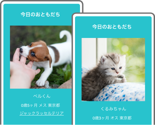 今日のおともだち